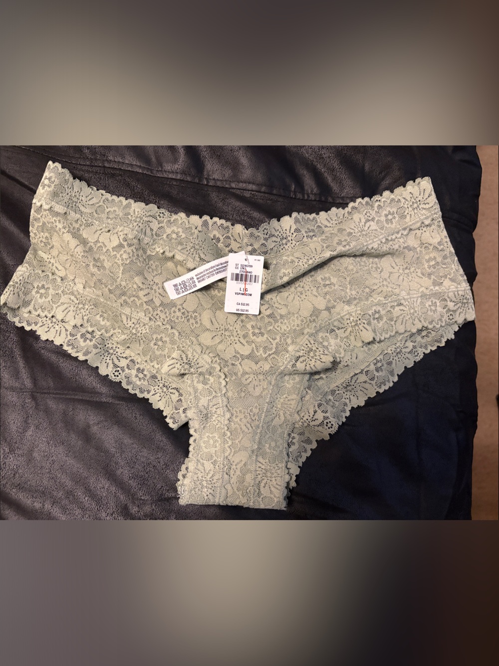 NWT Victoria Secret Large Lace Hipster Panty in Light Sage